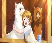 [50&#124;50] a cute anime girl hugging an alpaca(SFW) &#124; a man eating the remains of his wife(NSFW) from cute anime girl all