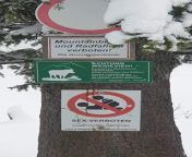 In an Austrian forest: Sex prohibited - except hunters from forest sex video hd
