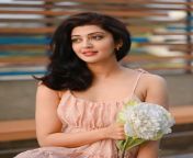 Sexy Pranitha ? from pranitha withoutdressimages com