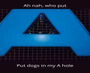 Who tf put dogs in my A hole? from put dogs