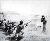 A powerful still image that shows the brutality of Iran under Ayatollah Khomeini. Captured by Iranian photographer Jahangir Razmi on August 27, 1979, the photo depicts one of the eleven men labelled as counterrevolutionary being gunned down. from sex of iran