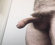 My semi erect cock this morning. from erect cock under muslim thobe