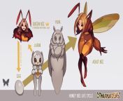 Bee from father bee