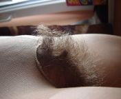 hairy amateur?_post 29 from hairy homemade amateur orgasms