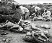 Archaeological workers excavating plaster casts of victims of the eruption of Mt. Vesuvius in Pompeii, Italy, May 1, 1961 from star casts of sankat mochan mahabali