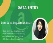 Hiraaslam818: I will do perfect data entry, typing, copy paste and web research for &#36;10 on fiverr.com from sixy gril web com