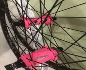 Cot damn! We got another one! Got them hot pink @onyxracing hubs, @boxbmx Focus Rims, Sapim Spokes, Pink Nipples! Boom. Head over to www.TIME2SHINEBMX.com or send us a DM to get your set ordered today from the best! #rollwiththewinners #bmx #box #onyxraci from www xvieos com movi hot song polyayeka apu biswas naket