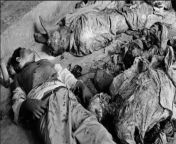 Bodies of the Bengali intellectuals taken away on the 14th December 1971 by Al-Badr( fanatical islamist group under the patronage of pakistani govt), which had just been discovered and identified, including 7 professors of the Dacca University. from badr rep