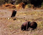 The vulture and the little girl March 1993 Sudan [1600x1067] from saouth sudan