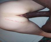 Before hitting her deep inside. Bull session for a young American cuck&#39;s wife by Indian bull. from indian bull