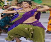 Kriti Kharabandha Navel in Green and Purple Glad Saree from moon purple love saree sundori