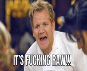 If Gordon Ramsay is a WWE wrestler, he will never ever join the red brand because... from wwe spank