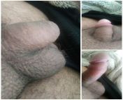 Yesterday I posted about boubting of piercing my penis due to the size, here are some photos of it when flacid, half erect and fully erect. You think it would look nice with a PA? from pedomom erect