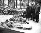 The bodies of some of the seven American soldiers that had been shot in the face by an SS trooper are recovered from the snow, searched for identification and carried away on stretcher for burial on January 25, 1945, Battle of the Bulge. by Peter J. Carro from american soldiers rape iraq girls