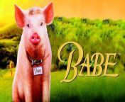 Babe was initially banned in Malaysia because pigs are considered offensive by some Muslims. In the U.S. pork sales dropped by 20% after the film&#39;s release. from rape in malaysia