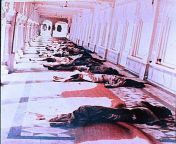 The bodies of Sikh pilgrims lie on the ground after the Golden Temple massacre. Under Operation Blue Star, Indian soldiers raided the temple, the holiest site in the Sikh religion, and killed nearly 500 people. The troops executed hundreds of civilians af from sikh nex
