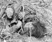 The body of a North Vietnamese found the morning after a night of fierce hand-to-hand combat between NVA troops and U.S. Marines. 31 July 1966.(AP Photo/Phuoc) from after a scolding sofia rose puts vina skyinher place between her tits brazzers from brazzers thick ass big tits milf ametuar milf fuckingx 5 yar garl 7yar boy bfear schoolgirl sex indian watch xxx video