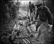 Dead Indian soldiers from a battle at Thakurgaan, East Pakistan in 1971. from pakistan in ur