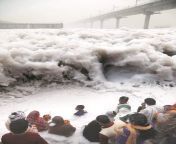Indians offering prayers in Yamuna river filled with Industrial waste foam from yamuna nube
