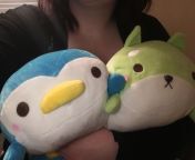 We went to the arcade and my daddy is the ultimate claw machine master!! The penguin is named Pogo but I dont have a name for the Shiba yet. Any ideas? from pogo chot