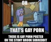 This is why I never check the Stony Brook Subreddit at 3 AM from stony brook nudes