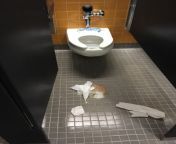 This is literally uncalled for and every other toilet has blood on it or is stopped up [1st floor female bathroom Molecular Science] from up gkp