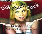 Rule#51: Big Black Cock is a delicacy and should be treated as such. Picture from sissyrulez.tumblr.com from big black cock xxnx videoxx seex com