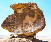 A camel petroglyph at the Bir Hima complex which covers the time period of 25001000 BC. Najran province in southwest Saudi Arabia [900x530] from suzuki saaya suzuyan xvideos pic 13x hima mali