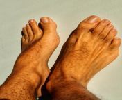 Who wants to lick my hairy Arab feet and suckle on my long toes? from my porn arab xxxwap comodiya arub