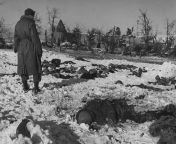 11 black American soldiers were beaten, tortured and shot by SS soldiers during the Battle of the Bulge. They had tried to find shelter in a small village after getting separated from their battalion, but a resident told the SS where they were hiding. Mor from kufirana black american wenye mboo