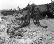 1st Division Marines stand by the bodies of two Marines killed on Peleliu; September 1944. By the end of the invasion, 10,695 Japanese soldiers, and almost 1,800 Americans, were killed. The 1st Marines were badly mauled and not available for action untilfrom marines united
