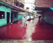 Islam in a nutshell (Eid al-Adha in Dhaka, Bangladesh, where the blood of sacrificed animals mixes with monsoon rains, creating rivers of blood) from ondhoker dhaka