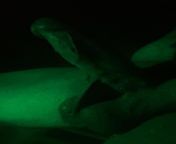 [showing off] Night #2 of Hot Tub fun - green from green xxx tub