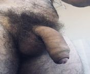 My hot penis tonight. ? from indian hot penis