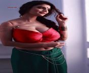 Anveshi Jain And Her Navel from anveshi jain and flora saini all sex scenes
