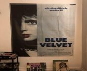 hey reddit! I thought some people in this sub would appreciate this original French Blue Velvet promo poster from 87! It is my favorite by him. What is you fav Lynch film? from deshi blue film