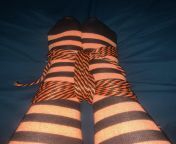 Halloween themed thigh highs and rope for selfbondage from cd selfbondage