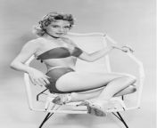 Barbara Eden, (I Dream of Jeannie), circa early 1960s from barbara eden dream of jeannie hot sexy upskirt