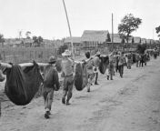 April, 1942 Japanese soldiers transport American and Filipino soldiers 80 miles across the Bataan peninsula. They walked for days transporting heavy equipment. Over 500 American and 2,500 Filipino soldiers were killed and 27,500 were starved or worked tofrom american and india