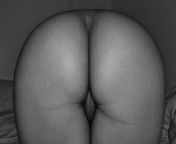 high contrast pussy from hebe jb pussy 14