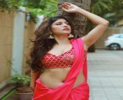 Poonam Rajput Hot Navel in Saree from poonam dubey hot weat