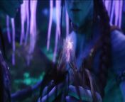 Avatar in Japan from avatar blue aliens