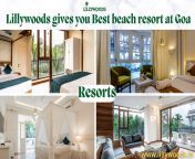 Lillywoods gives you Best beach resort at Goa &#124; Gmail- ramvijayshar@gmail.com Contact-+91 8800-461-462 visit -https://www.lillywoods.in from niraj raj1608@gmail