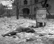 German soldier killed in battle on ll?i t (street) in Budapest, Hungary. In the background Soviet soldiers can be seen; January, 1945. from surekha kudchi in bhajivali sakku aani havaldar bhiku hot seen