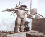 Wilhelm von Gloeden, Italian figure study, early 1900s from estrogen wilhelm decker