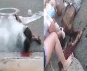 [VIDEO/NSFW/GORE] Man Dies Carbonized After Suffering High Voltage Electrical Discharge and Agonizing Waiting for Help (Full video in link in first comment below) from indian girl say for sexome xxx video in serial girl
