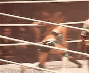 Eve Torres spanks AJ Lee&#39;s ass from marimar torres