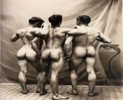 vintage nude models from ams cherry nude models