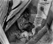 The corpses of a Filipino mother and her child lay covered in flies after an artillery shell struck the shelter they were hiding in. Unknown whether an American or Japanese shell. February 1945, Manila. from japanese mother and godfather seks 3g