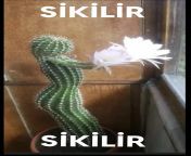 S?K?L?R from colage r